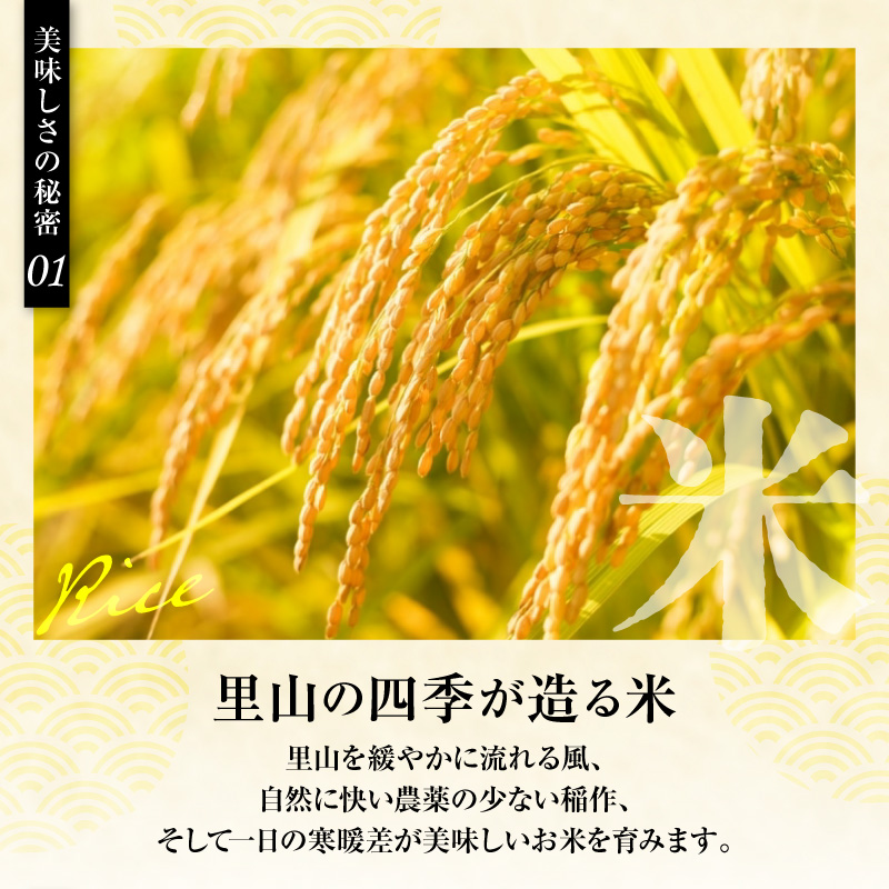 蜊莉」縺ョ蜈牙宍驕ク縲守悄縲上ョ縺ソ縺上i縺ケ繧サ繝繝