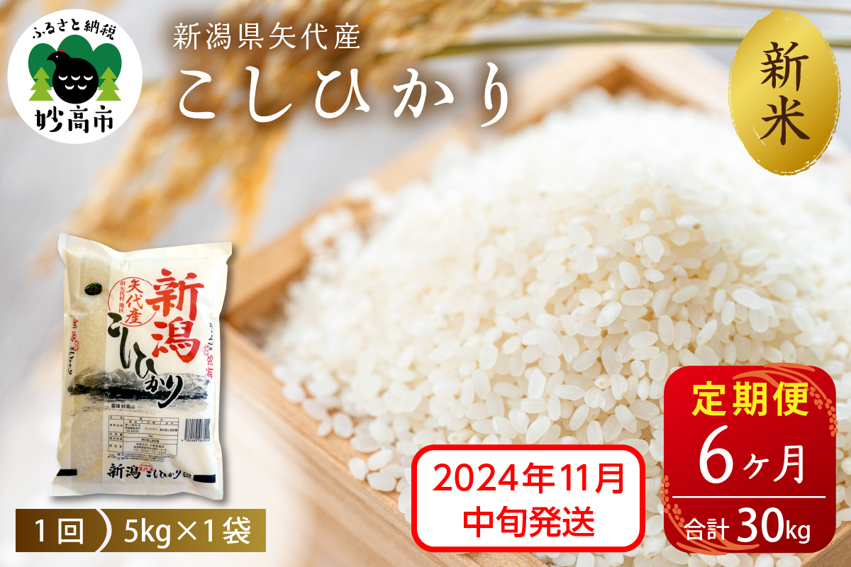 【2024年11月中旬より発送】令和6年産 新潟県矢代産コシヒカリ5kg×6回(計30kg)