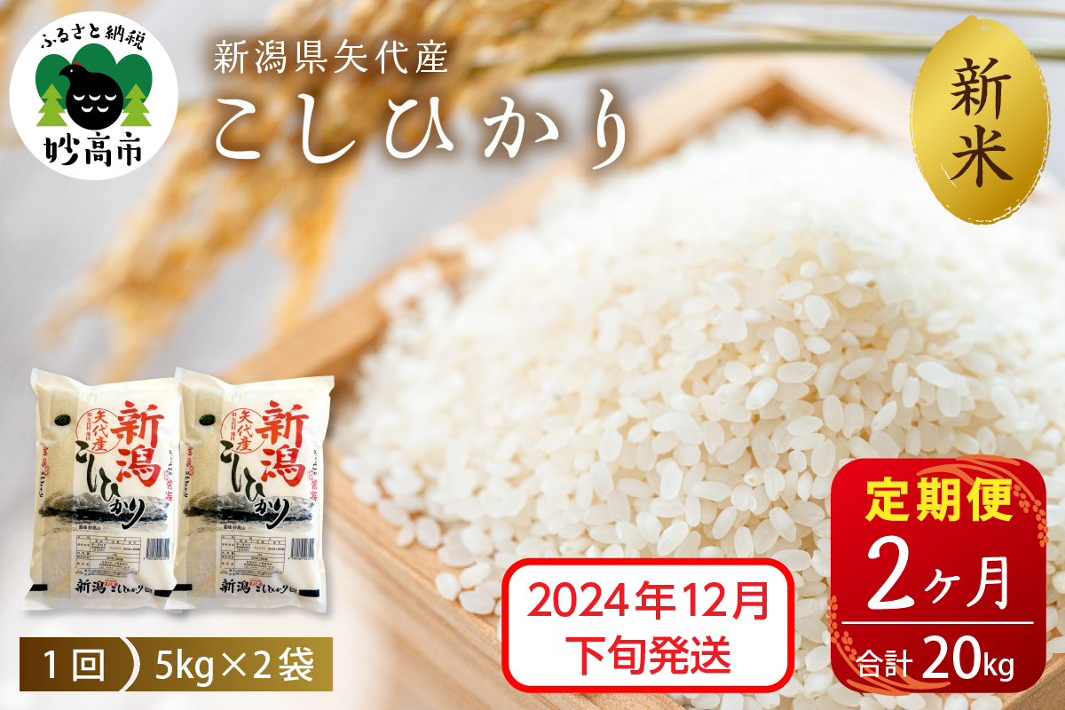 【2024年12月下旬発送】【定期便】令和6年産 新潟県矢代産コシヒカリ10kg(5kg×2袋)×2回（計20kg）