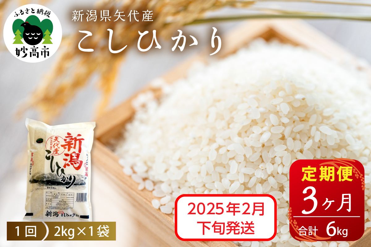 【2025年2月下旬発送】令和6年産 新潟県矢代産コシヒカリ2kg×3回（計6kg）