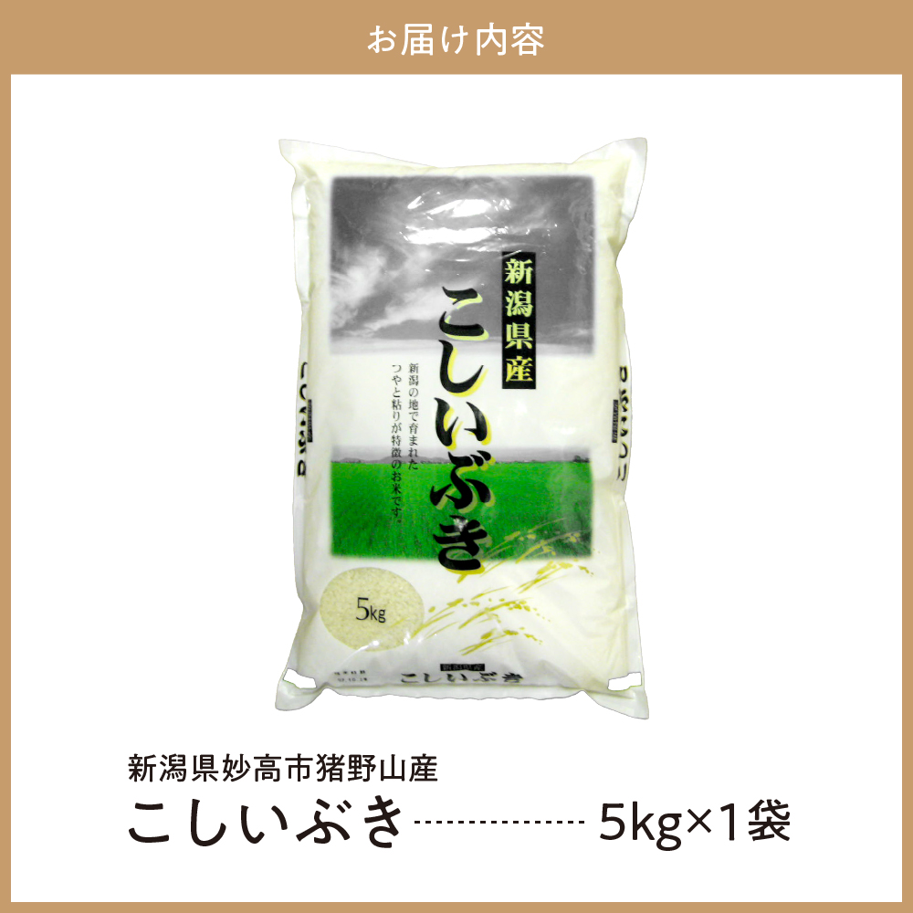 新潟県妙高市猪野山産こしいぶき 5kg