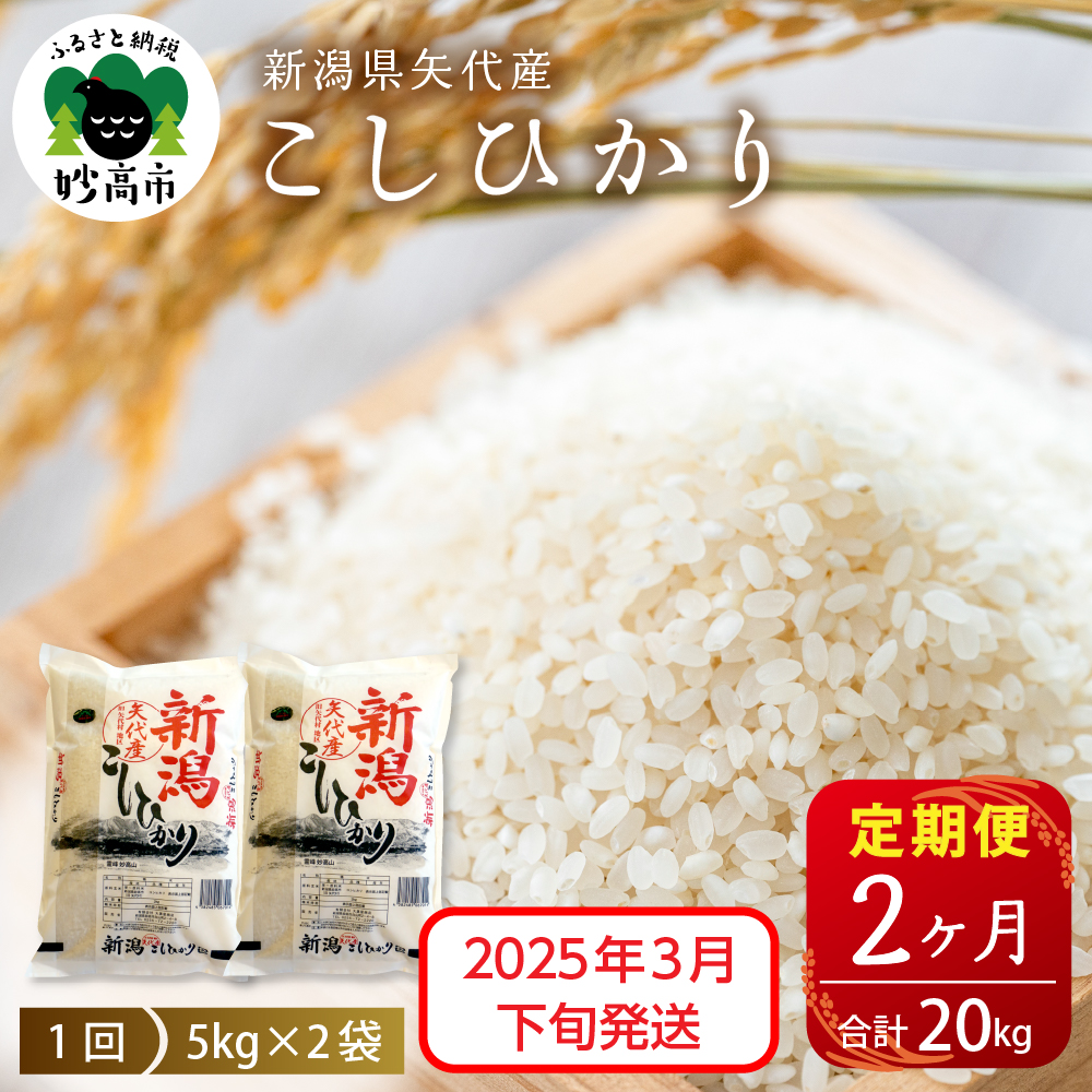 【2025年3月下旬発送】【定期便】令和6年産 新潟県矢代産コシヒカリ10kg(5kg×2袋)×2回（計20kg）