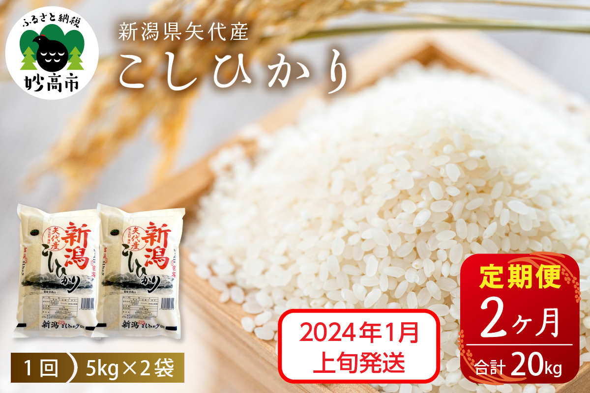 【2025年1月上旬発送】【定期便】令和6年産 新潟県矢代産コシヒカリ10kg(5kg×2袋)×2回（計20kg）