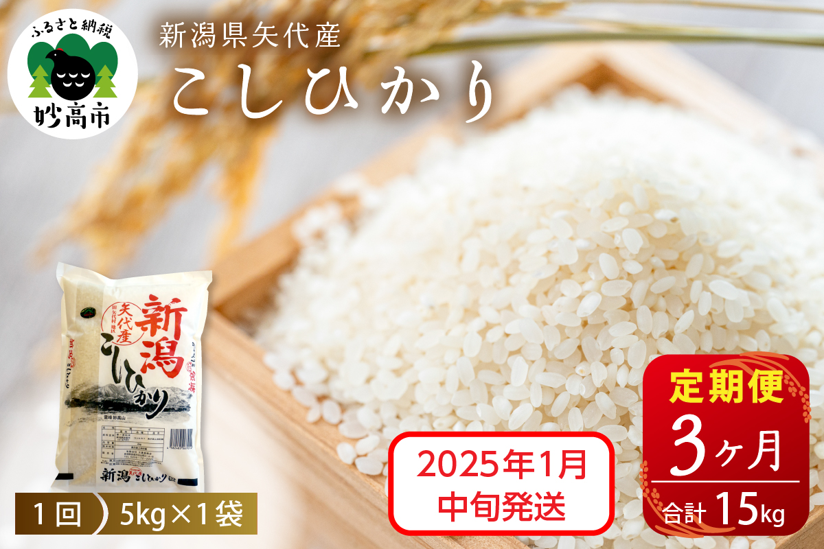 【2025年1月中旬発送】【定期便】令和6年産 新潟県矢代産コシヒカリ5kg×3回（計15kg）