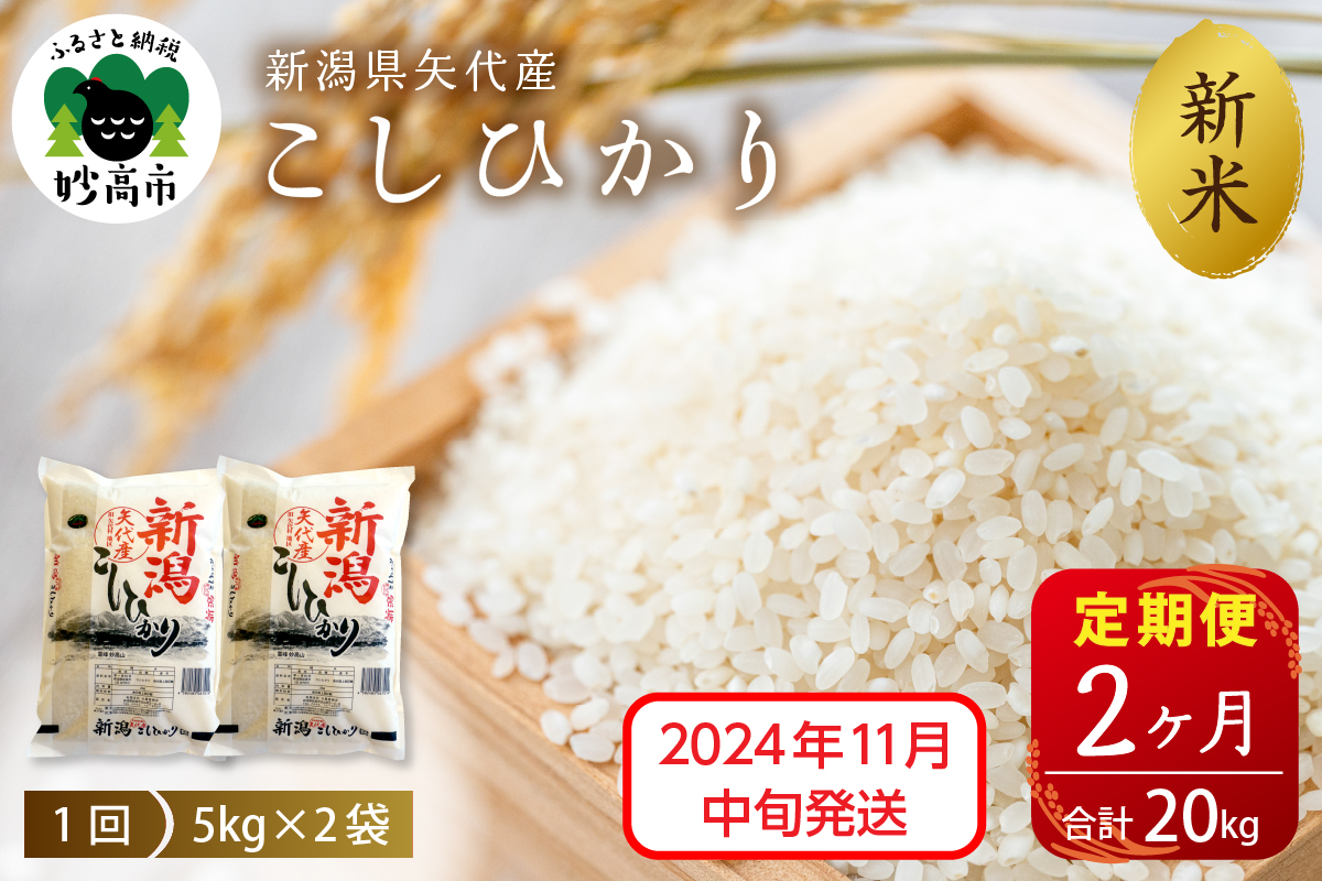 【2024年11月中旬発送】【定期便】令和6年産 新潟県矢代産コシヒカリ10kg(5kg×2袋)×2回（計20kg）