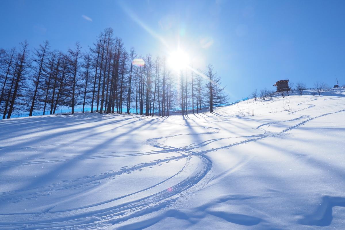 妙高連山スキー MR (MyokoRenzan) (170cm)