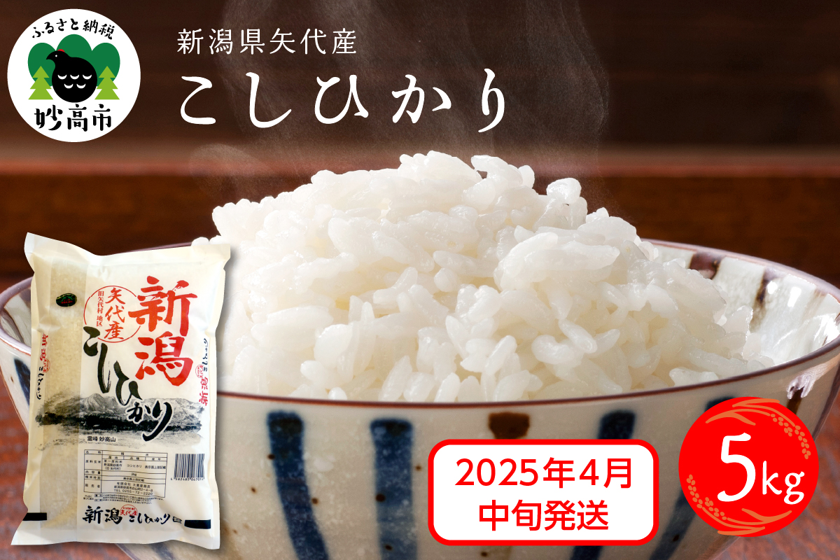 【2025年4月中旬発送】新潟県矢代産コシヒカリ5kg