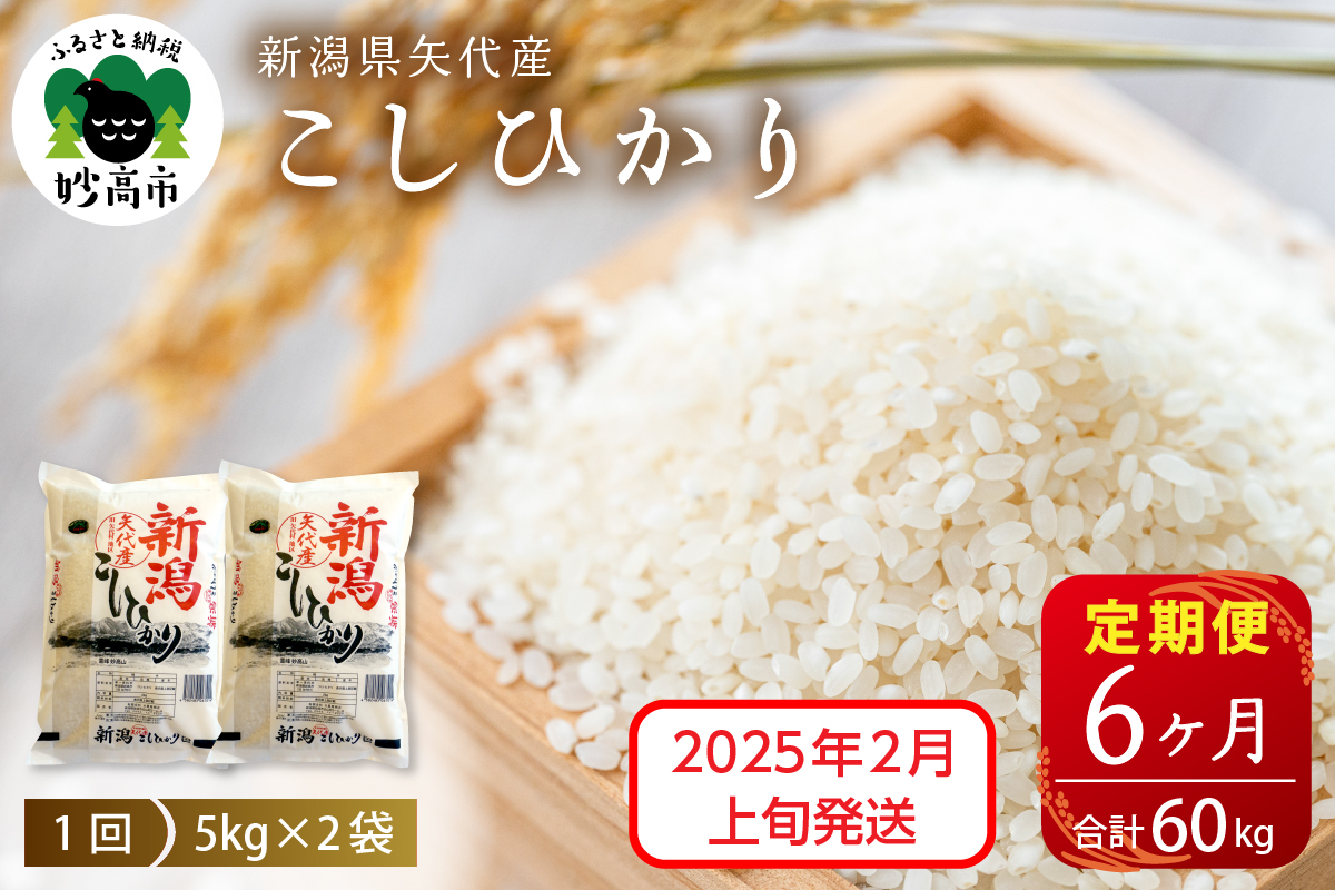 【2025年2月上旬発送】【定期便】令和6年産 新潟県矢代産コシヒカリ10kg(5kg×2袋)×6回（計60kg）