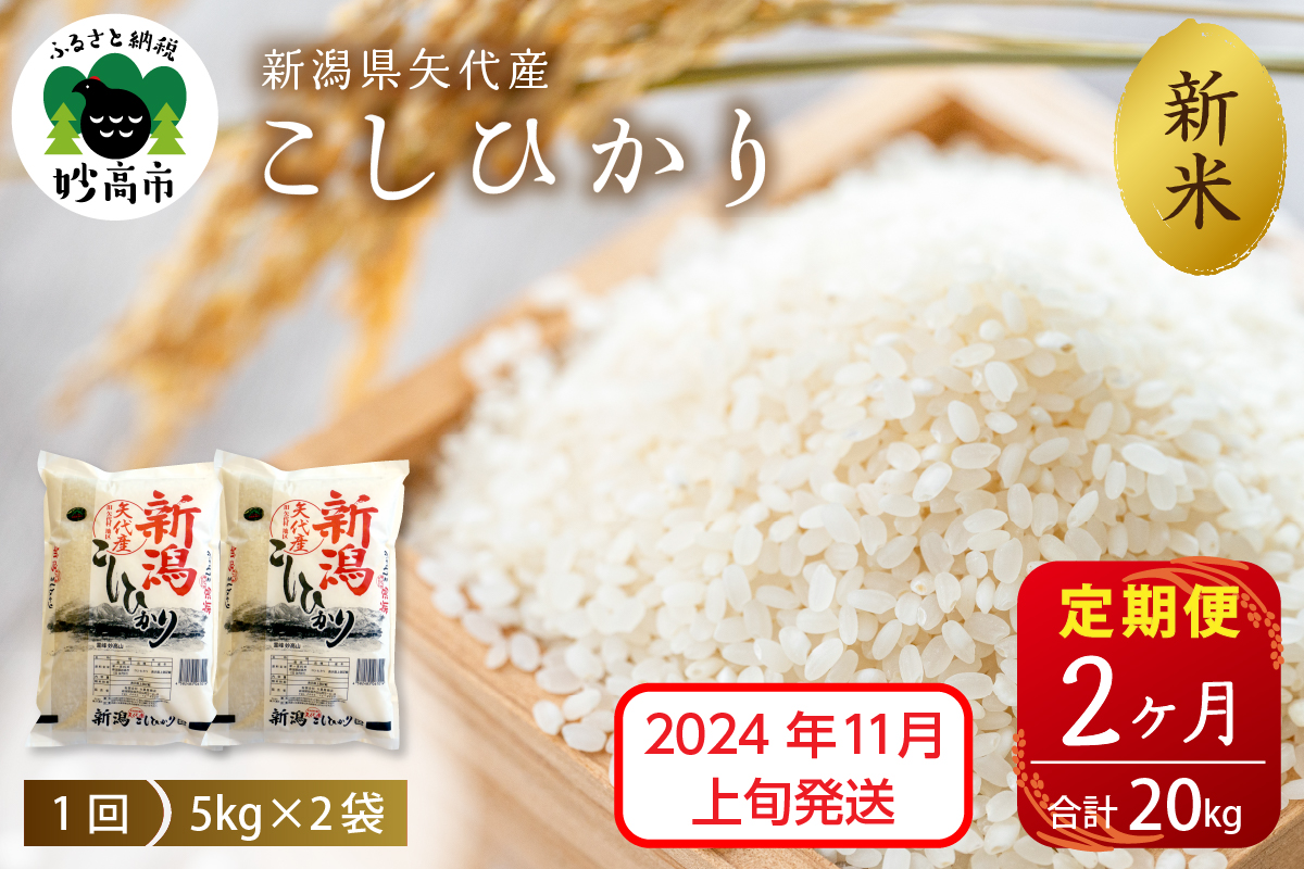 【2024年11月上旬発送】【定期便】令和6年産 新潟県矢代産コシヒカリ10kg(5kg×2袋)×2回（計20kg）