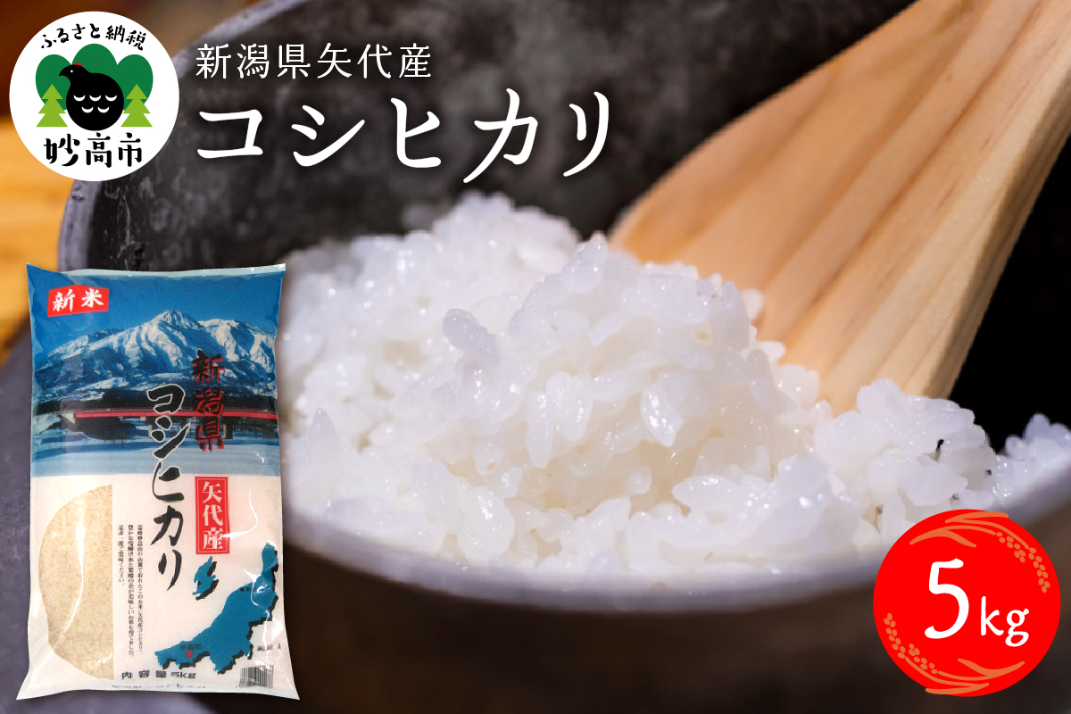 令和6年産新潟県矢代産コシヒカリ５kg