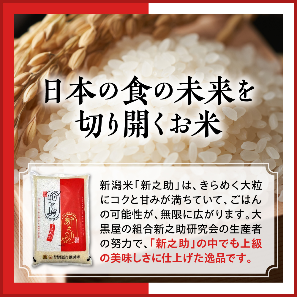 令和7年産 新潟県上越妙高産 新之助 5kg【順次発送】 