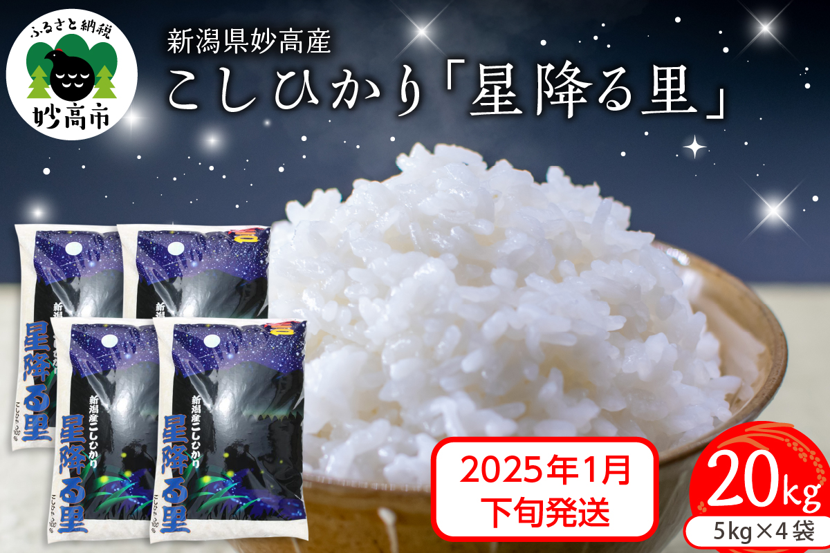 【2025年1月下旬発送】令和6年産 新潟県妙高産こしひかり「星降る里」20kg