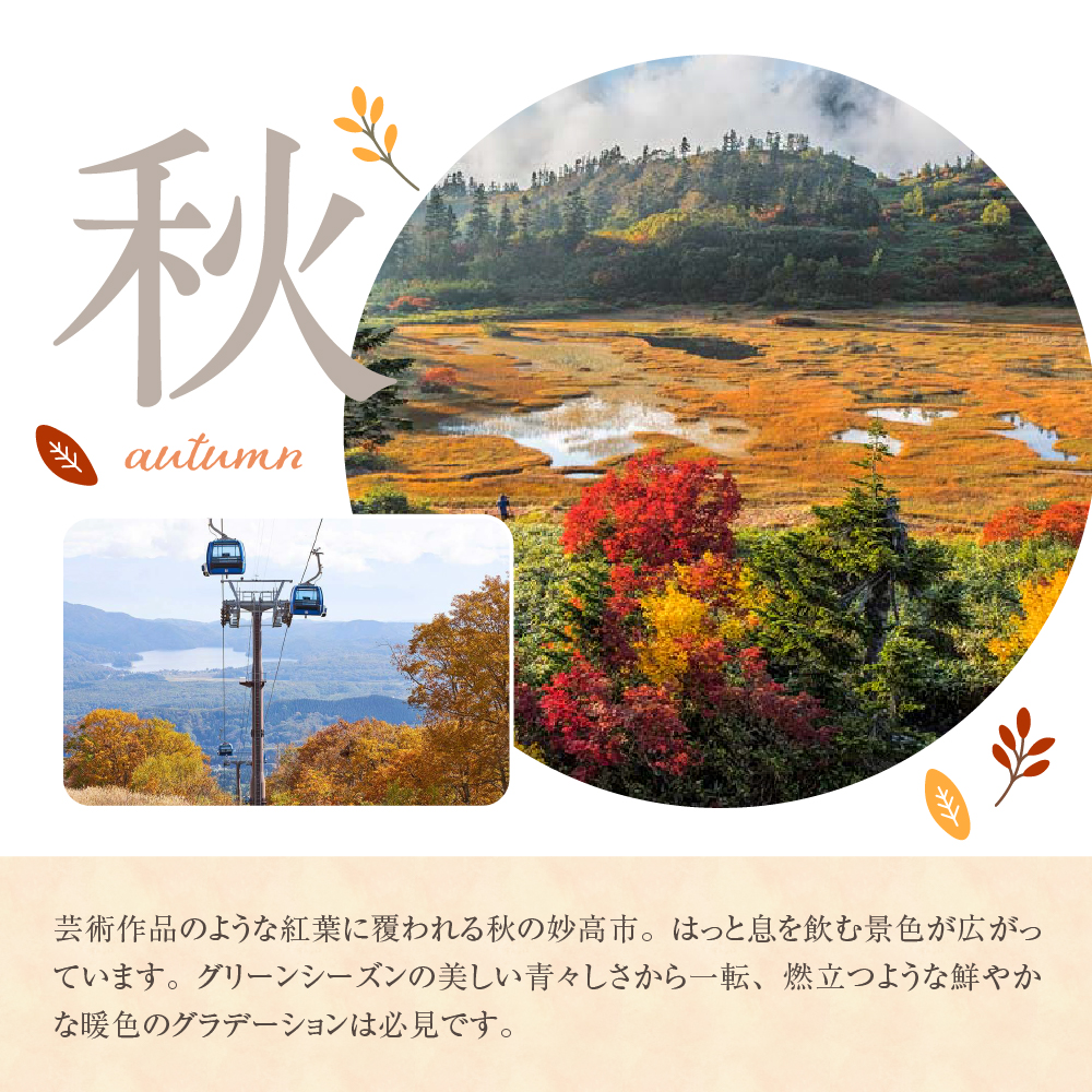 新潟県妙高市内宿泊利用券10,000円分2枚