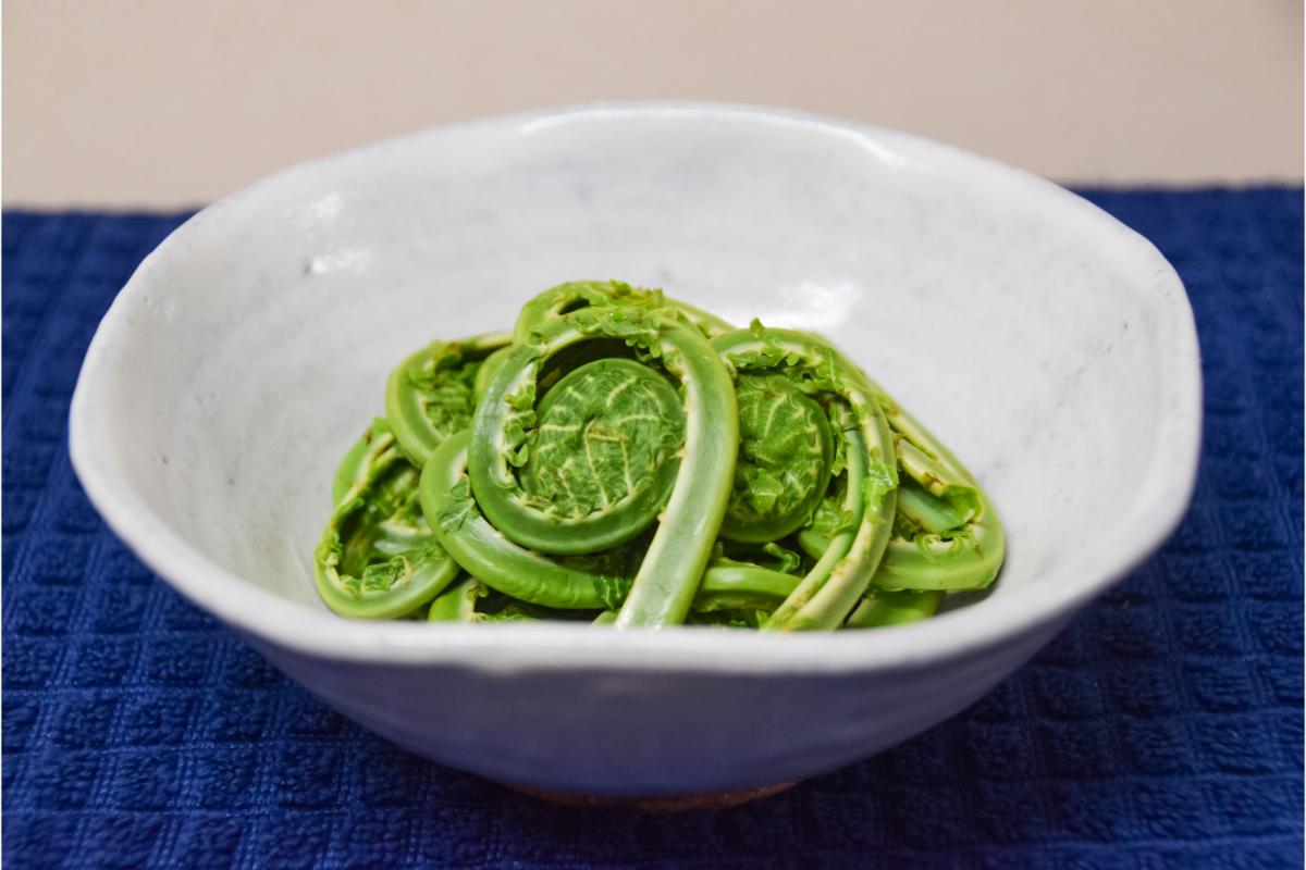 ã3æäžæ¬ããçºéã倩ç¶ããã¿ å±±è 倩ã·ã ããŸåã æ¥ã®å³èŠ ç£å°çŽé åœç£ æ°æœç åŠé«åž