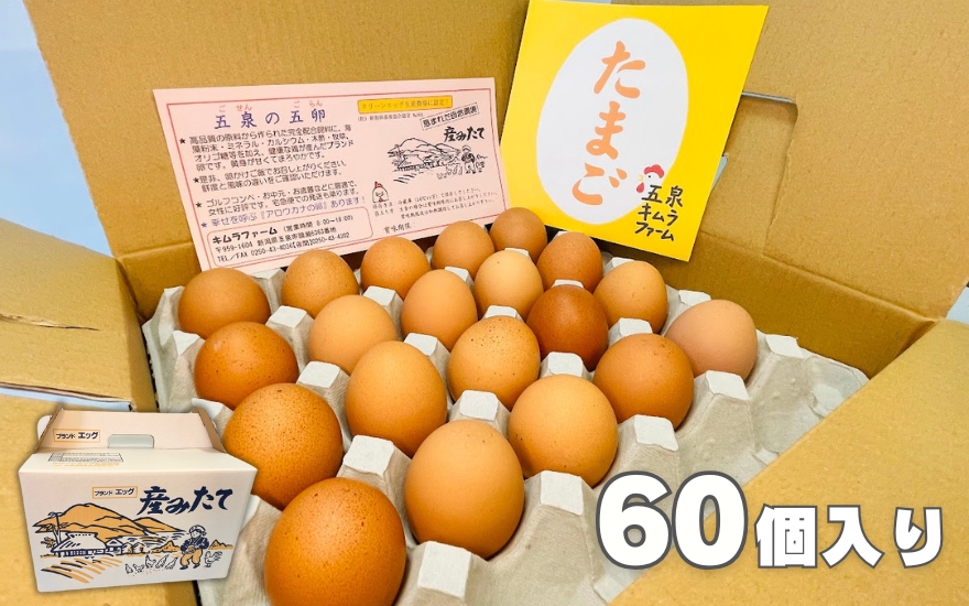 【12回定期便】キムラファームの産みたて卵 赤たまご60個（Mサイズ）産みたてたまご たまご 卵 玉子 タマゴ 鶏卵 オムレツ 卵かけご飯 たまご焼き 新潟県 五泉市