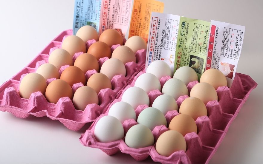 【3回定期便】キムラファームの産みたて卵 6色たまご詰合せ 60個 産みたてたまご たまご 卵 玉子 タマゴ 鶏卵 オムレツ 卵かけご飯 たまご焼き 新潟県 五泉市　先行予約（2025年9月以降順次発送）
