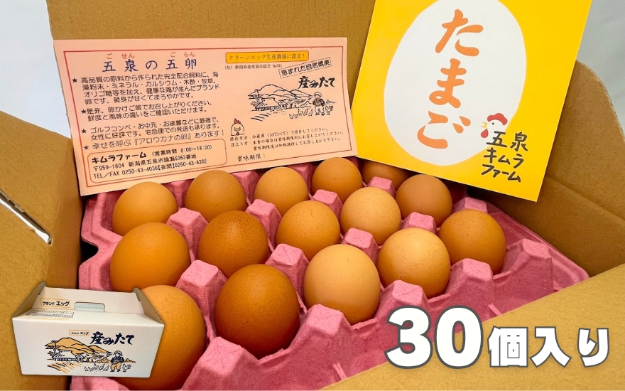 【6回定期便】キムラファームの産みたて卵 赤たまご30個（Mサイズ）産みたてたまご たまご 卵 玉子 タマゴ 鶏卵 オムレツ 卵かけご飯 たまご焼き 新潟県 五泉市