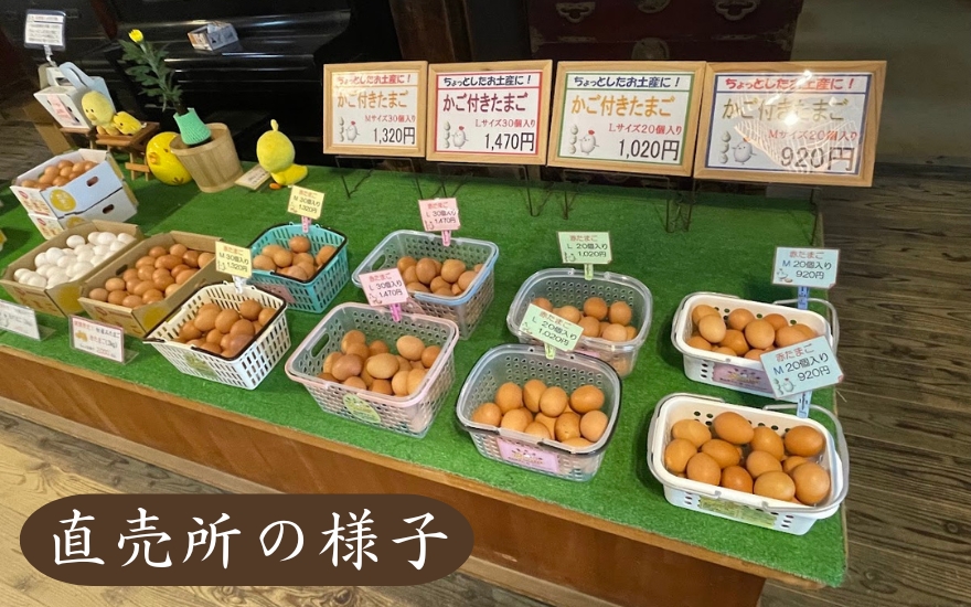 【3回定期便】キムラファームの産みたて卵 赤たまご30個（Mサイズ）産みたてたまご たまご 卵 玉子 タマゴ 鶏卵 オムレツ 卵かけご飯 たまご焼き 新潟県 五泉市