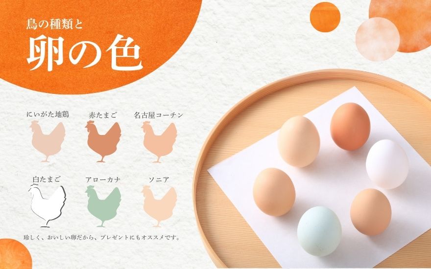 【3回定期便】キムラファームの産みたて卵 6色たまご詰合せ 30個 産みたてたまご たまご 卵 玉子 タマゴ 鶏卵 オムレツ 卵かけご飯 たまご焼き 新潟県 五泉市　先行予約（2025年9月以降順次発送）