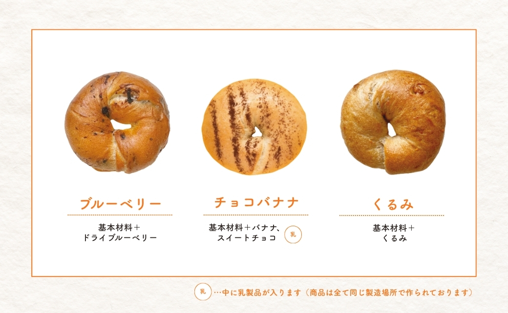【3回定期便】ベーグル おまかせ 10個便 ベーグル パン 新潟県 五泉市 ReRi Bagel リリベーグル 詰合せ おまかせ 食べ比べ BAGEL