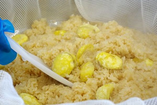 「栗屋の彦べえ」おこわ8個セット（化粧箱入）