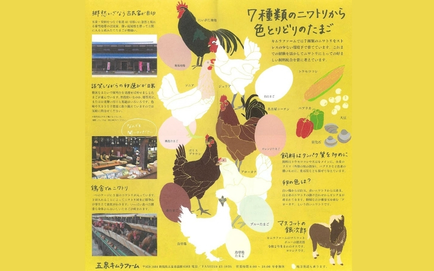 【12回定期便】キムラファームの産みたて卵 赤たまご60個（Mサイズ）産みたてたまご たまご 卵 玉子 タマゴ 鶏卵 オムレツ 卵かけご飯 たまご焼き 新潟県 五泉市