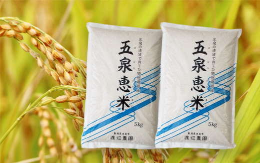 〈令和5年産〉渡辺農園の特別栽培米コシヒカリ20㎏