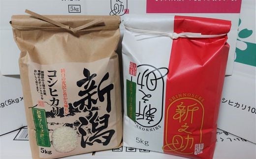 [令和5年産]新潟県五泉市産 お米ソムリエの食べ比べセット(コシヒカリ5kg・新之助5kg)