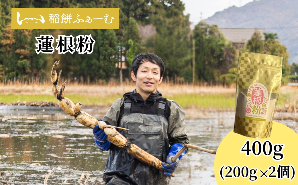 蓮根粉 400g(200g×2個) | レンコン れんこん レンコンパウダー 野菜 根菜 産地直送 国産 新潟県 五泉市 稲餅ふぁーむ