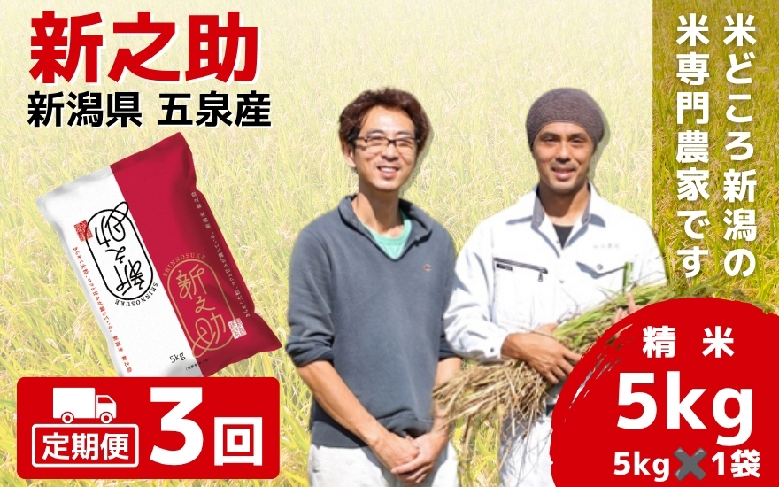 【先行予約】令和8年産【定期便 3ヶ月】五泉産 新之助 5kg × 3回 | しんのすけ 新潟県産 お米 おこめ こめ コメ ご飯 ごはん 白米 精米 ブランド米 おすすめ 新潟県 五泉市 わくわく農場