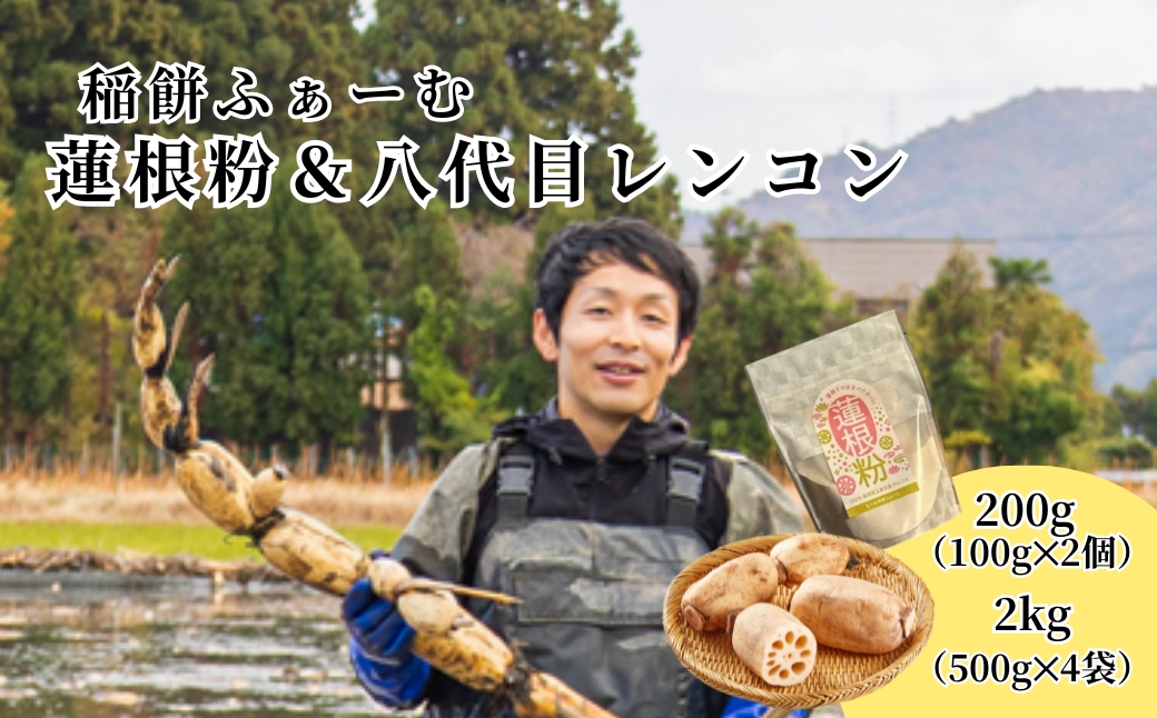 [先行予約品]蓮根粉 200g(100g×2個)&五泉八代目レンコン 2kg(500g×4袋) | れんこん 蓮根 野菜 根菜 産地直送 国産 新潟県 五泉市 稲餅ふぁーむ