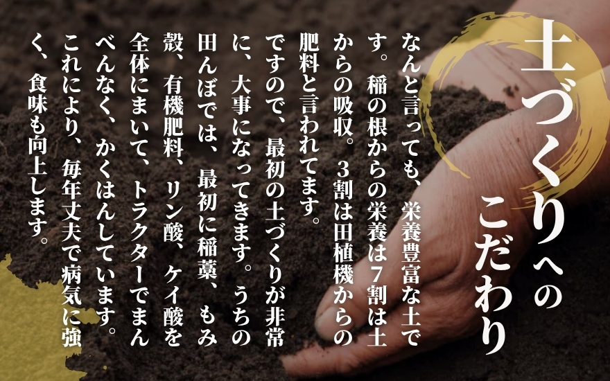 縲仙郁。御コ育エ縲台サ、蜥8蟷エ逕」縲舌♀邀ウ繧ス繝繝ェ繧ィ縺ョ縺顔アウ縲醍┌豢礼アウ 繧ウ繧キ繝偵き繝ェ 1kg 譁ー貎溽恁 莠疲ウ牙ク 繧ィ繝舌シ繧ー繝ェ繝シ繝ウ霎イ蝣エ