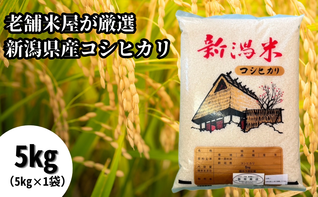 令和7年産 老舗米屋が厳選 コシヒカリ 精米 5kg(5kg×1袋) 五泉市産 | 新潟産コシヒカリ 新潟県産こしひかり 米 こしひかり ブランド米 新潟県 五泉市 板垣商店