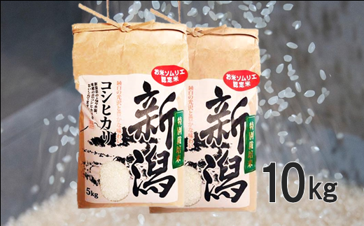新米！〈令和5年産米〉お米ソムリエのお米・新潟県五泉市四ヶ村産　特別栽培米コシヒカリ10㎏