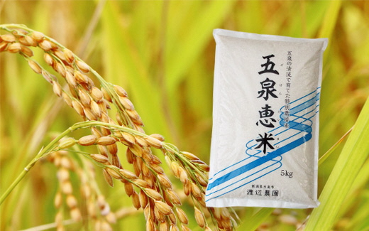 〈令和5年産〉渡辺農園の特別栽培米コシヒカリ5㎏
