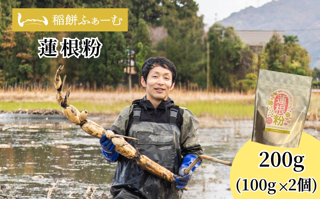 蓮根粉 200g(100g×2個) | レンコン れんこん レンコンパウダー 野菜 根菜 産地直送 国産 新潟県 五泉市 稲餅ふぁーむ
