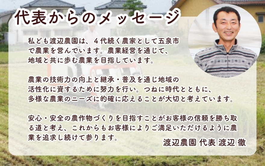 令和7年産 コシヒカリ 5kg (5kg × 1袋) 五泉産 五泉恵米 特別栽培米 | 新潟産コシヒカリ 新潟県産コシヒカリ 新潟県産こしひかり 米 お米 こしひかり 白米 精米 ブランド米 新潟県 五泉市 渡辺農園