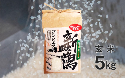 令和5年産[玄米]お米ソムリエのお米・令和5年産米 特別栽培米コシヒカリ5kg