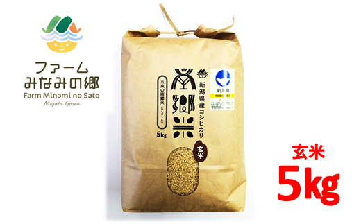 令和5年米特別栽培米 新潟県五泉産コシヒカリ「南郷米」玄米5kg