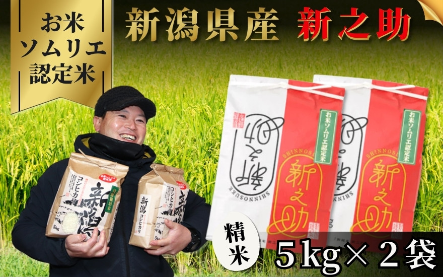 [先行予約][令和8年産]お米ソムリエのお米・新潟県五泉市四ヶ村産 新之助10kg