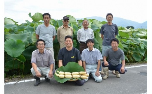 【先行予約】令和8年度産 れんこん 4kg 五泉美人 美白れんこん | レンコン 蓮根 野菜 根菜 産地直送 国産 新潟県 五泉市 五泉蓮根生産組合 [2026年10月中旬発送予定]