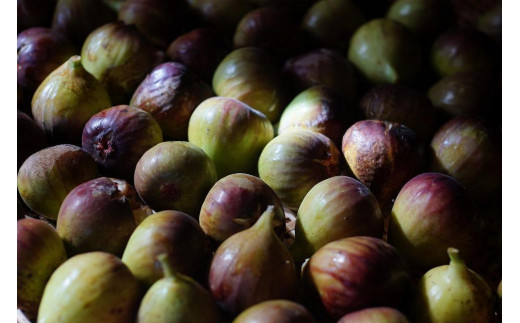 麹チーズケーキ（ぎっしり里の実）4～6人用（無添加・グルテンフリー）［里山ボタニカル］
