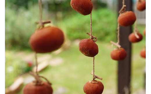 麹チーズケーキ（ぎっしり里の実）4～6人用（無添加・グルテンフリー）［里山ボタニカル］