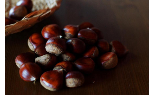 麹チーズケーキ（ぎっしり里の実）4～6人用（無添加・グルテンフリー）［里山ボタニカル］