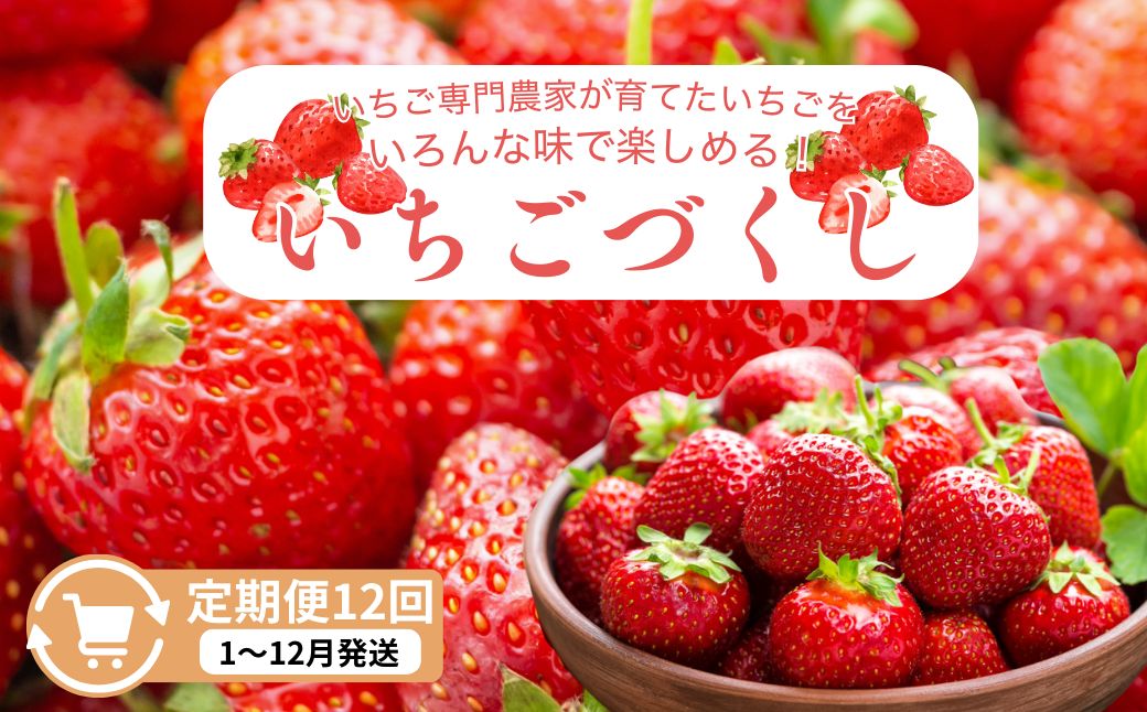 定期便 12回【1～12月発送】いちごづくし定期配送 苺 いちご 冷凍いちご いちごアイス シャーベット ジャム
