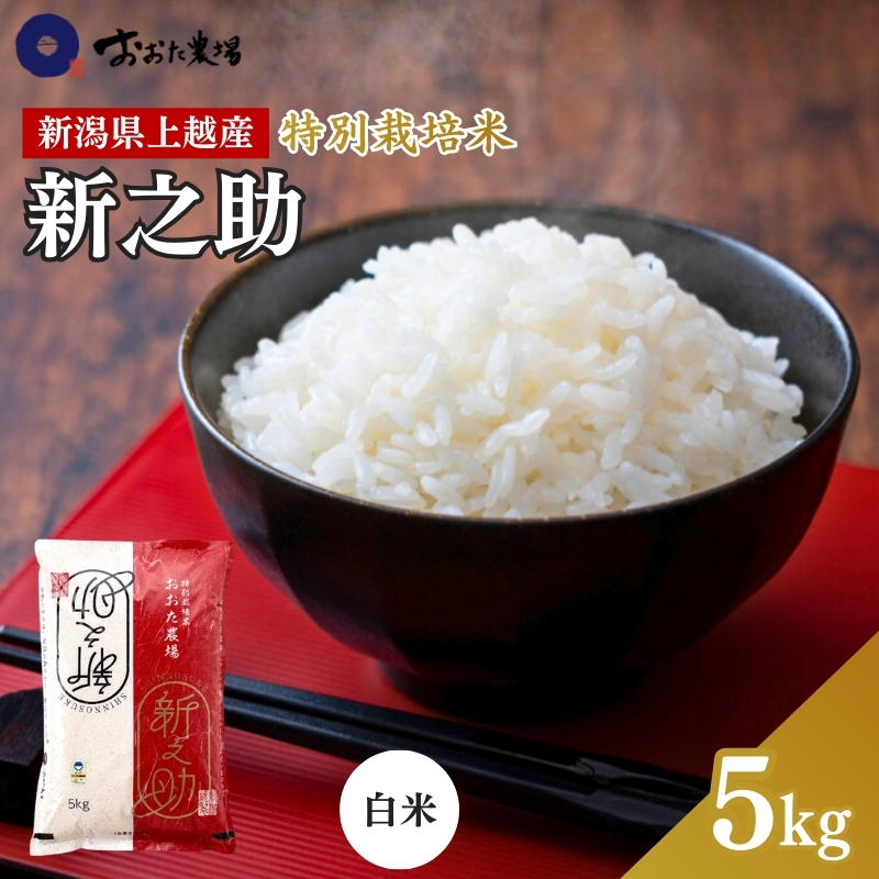 米 【令和7年産】 新潟県上越産 特別栽培米 新之助 【白米】 5kg 5キロ お米 こめ 白米 食品 人気 おすすめ にいがた 上越 上越産