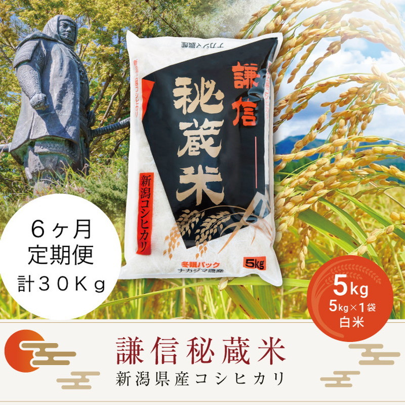 米 定期便 6ヶ月 コシヒカリ 謙信秘蔵米 5kg 令和7年産 お米 新米 白米 定期 6回