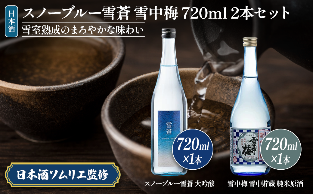 日本酒 スノーブルー雪蒼 雪中梅 720ml 2本 セット お酒 おすすめ 酒 ふるさと納税 新潟 新潟県産 にいがた 上越 上越産