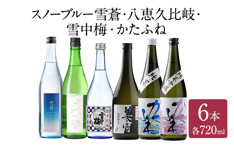 日本酒 スノーブルー雪蒼 八恵久比岐 雪中梅 かたふね 720ml 6本 セット お酒 おすすめ 酒 ふるさと納税 新潟 新潟県産 にいがた 上越 上越産