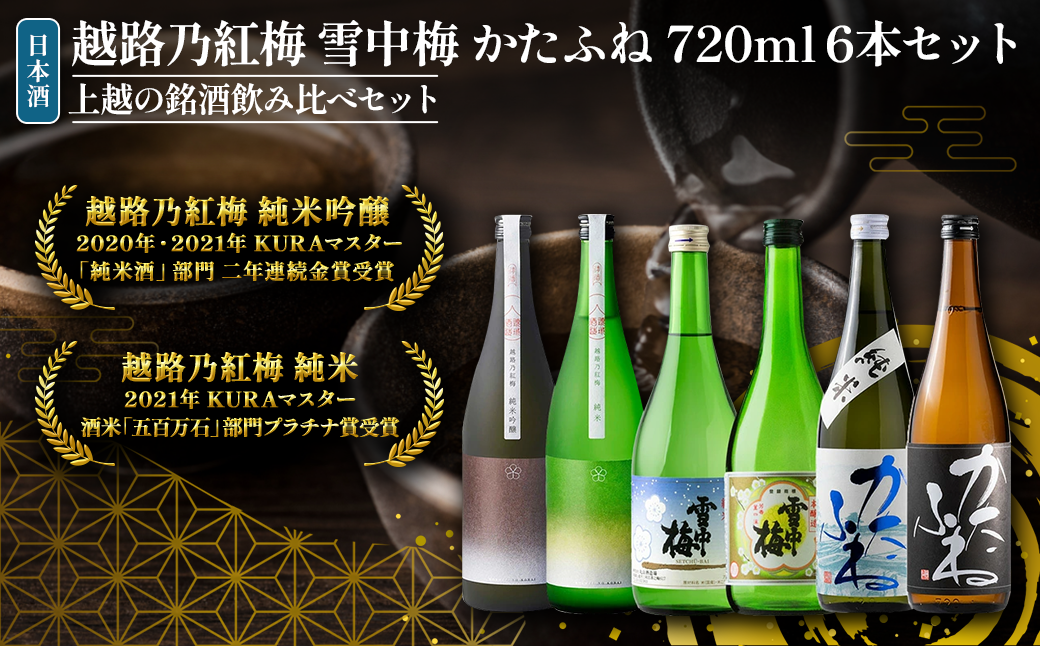 日本酒 越路乃紅梅 雪中梅 かたふね 720ml 6本 セット 雪中梅 かたふね 飲み比べ 越路乃紅梅 越路乃紅梅 お酒 ふるさと納税 新潟 新潟県産 にいがた 上越 上越産